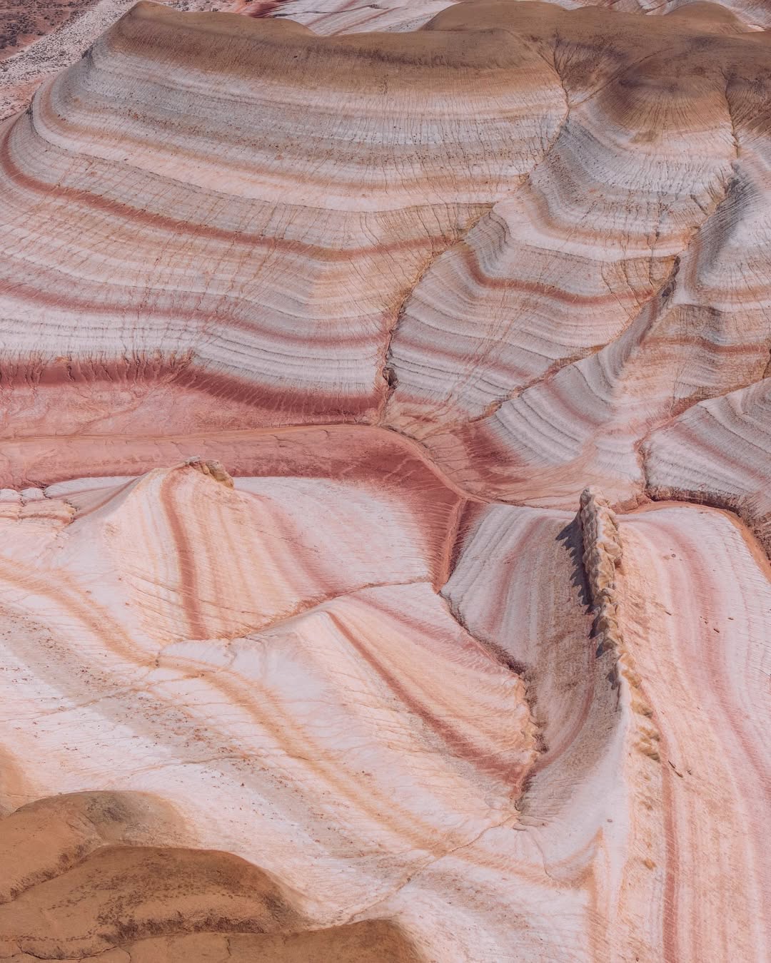 WhatsApp Image 2025-09-03 at 08.53.25(1)