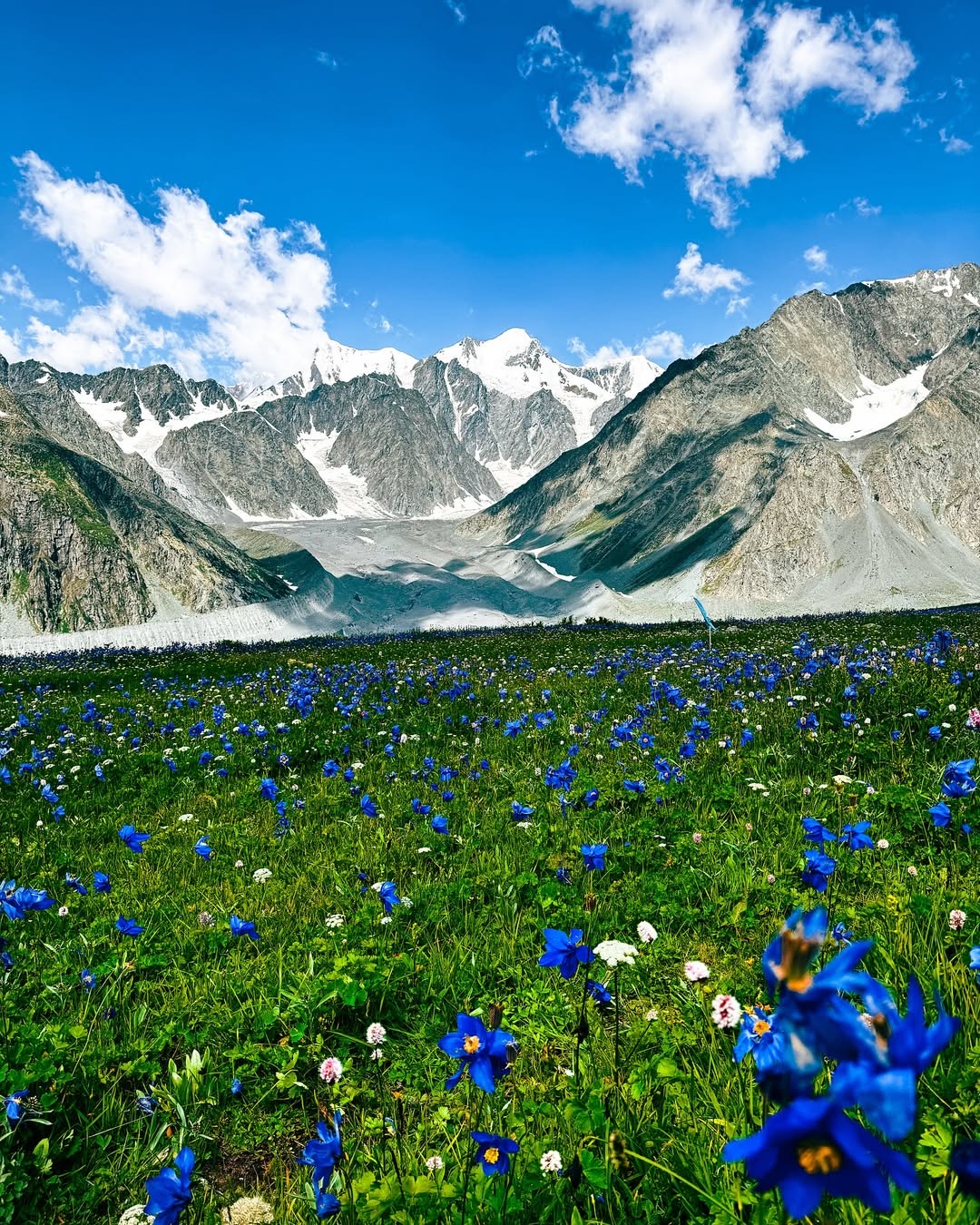 WhatsApp Image 2025-09-03 at 08.53.26