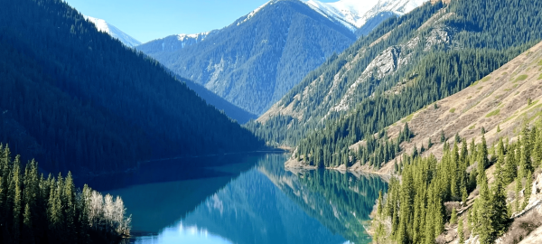 E6A7CDFF-427E-499F-B530-9CD07318FD1E